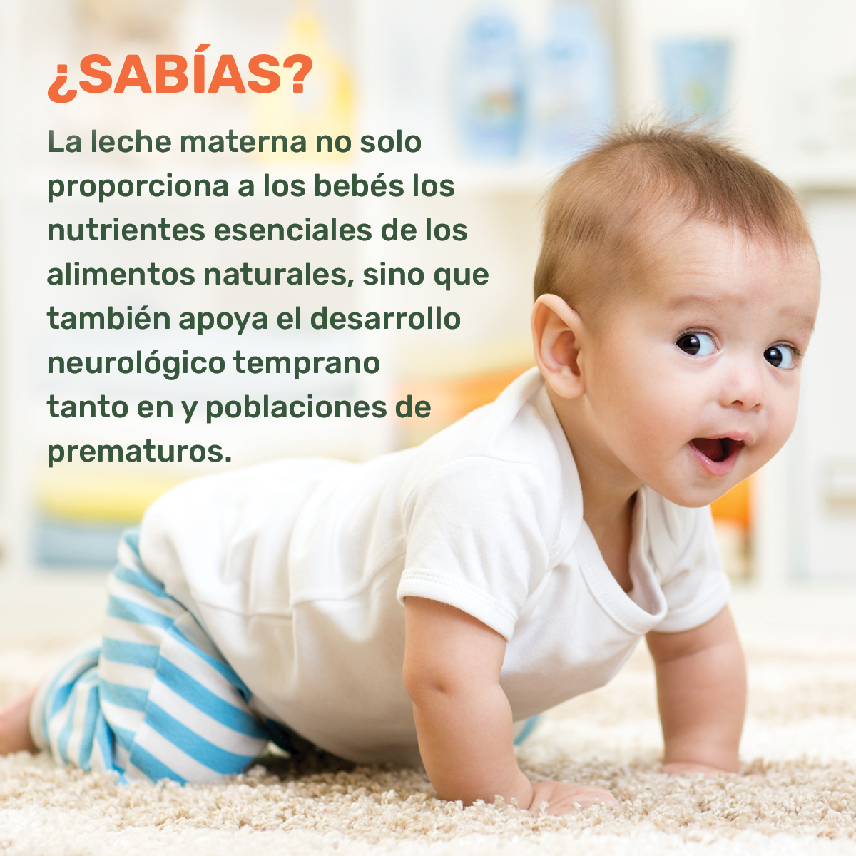 ¿Sabías que? La leche materna no sólo proporciona a los bebés los nutrientes esenciales de la alimentación natural, sino que favorece el desarrollo neurológico precoz tanto en los recién nacidos completos como en los prematuros.